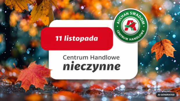 Swadzim 11.11 - 620.png